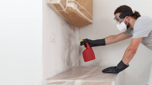 Professional Attic Mold Remediation technician working in Houtzdale, PA