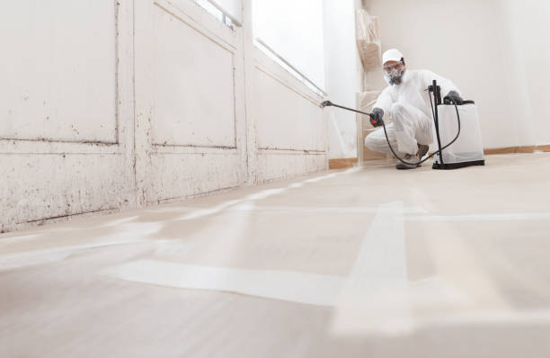 24/7 Emergency Attic Mold Remediation experts in Houtzdale, PA