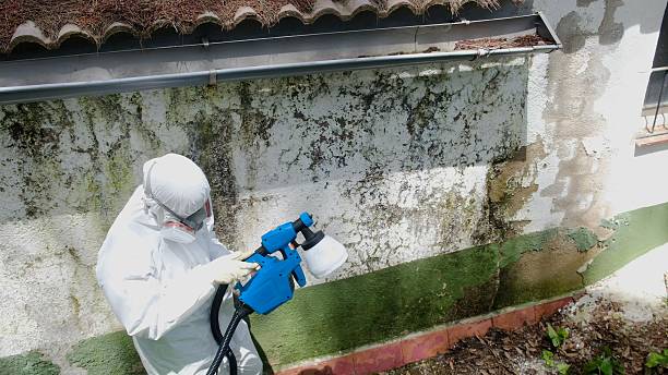 Top rated local Attic Mold Remediation specialists in Houtzdale, PA